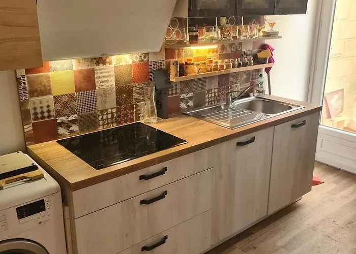 Maison Jardin Des Plantes Willa Rouen